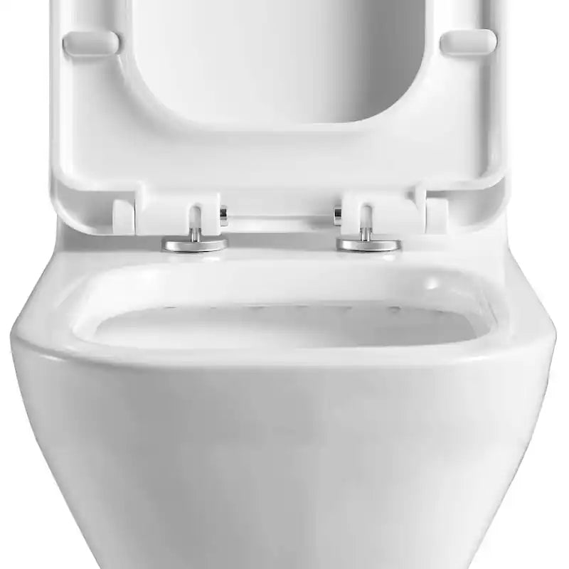 Fine Fixtures Dual-Flush Elongated One-Piece Toilet with High Efficiency Flush - White