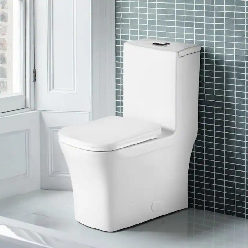 Fine Fixtures Dual-Flush Elongated One-Piece Toilet with High Efficiency Flush - White