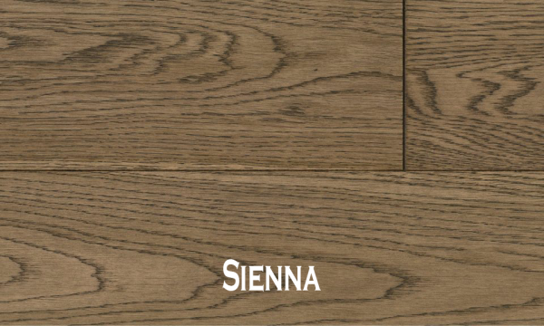 Fuzion – Casa Bella Collection 5″ x 1/2″ Plus