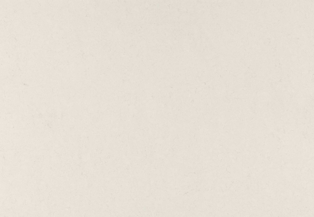 1001 Riverlet Quartz Countertop