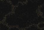 5100 Vanilla Noir Quartz Countertop
