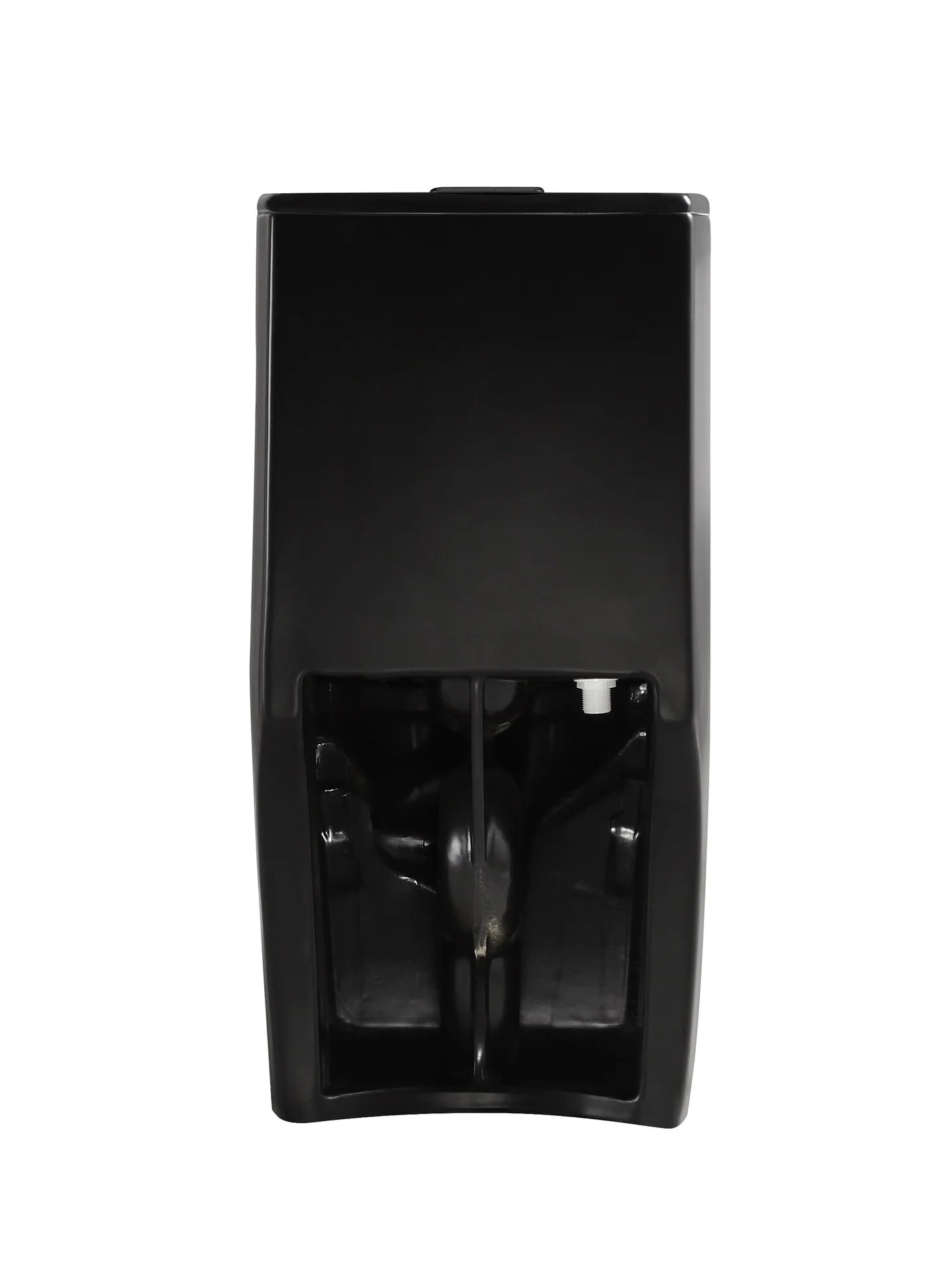 Tyrone Double Flush 1-Piece Toilet