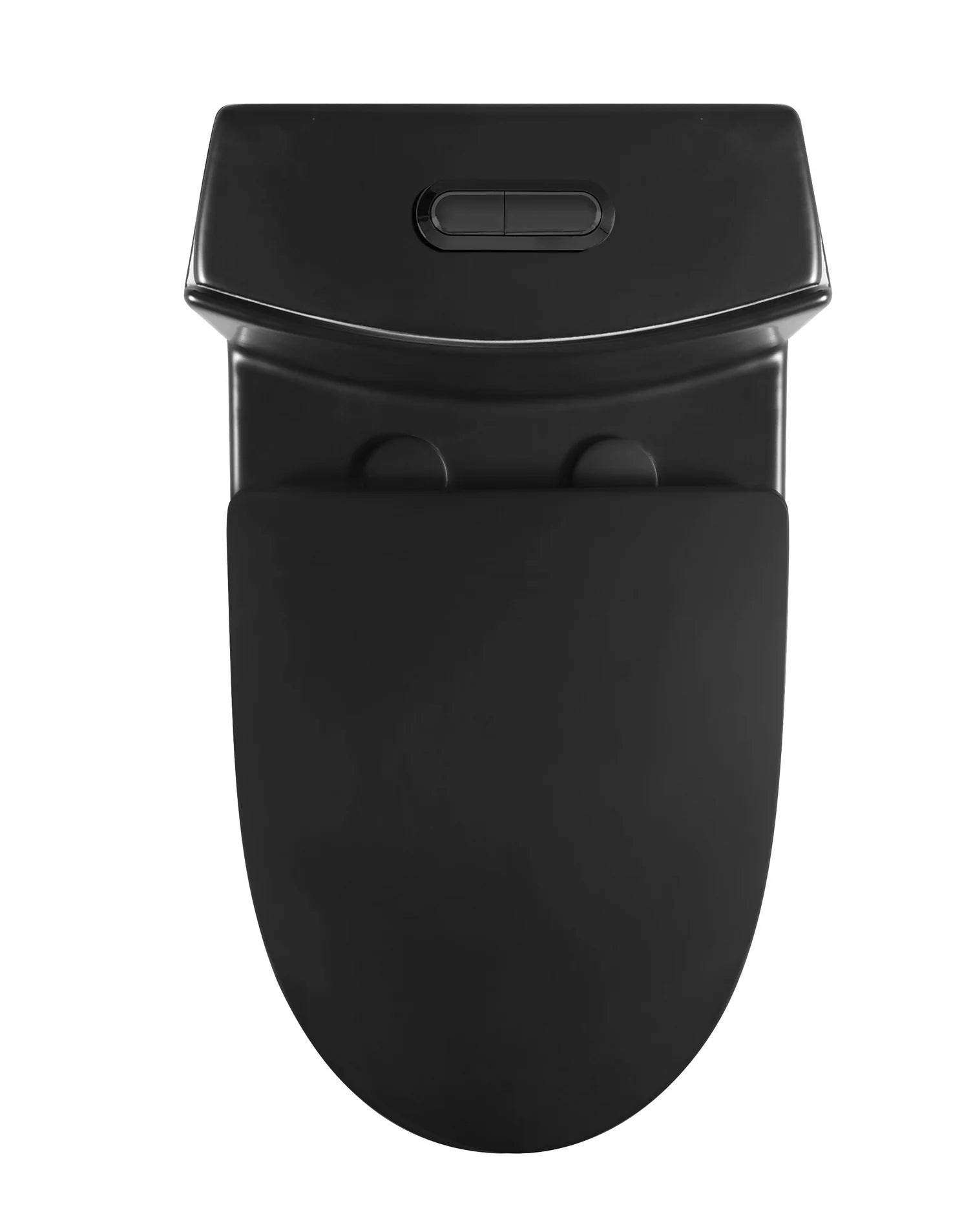 Tyrone Double Flush 1-Piece Toilet