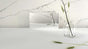 503 Circa Porcelain Countertop