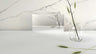 503 Circa Porcelain Countertop