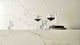 5111 Statuario Nuvo Quartz Countertop