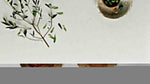 5141 Frosty Carrina Quartz Countertop