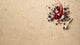 5212 Taj Royale Quartz Countertop