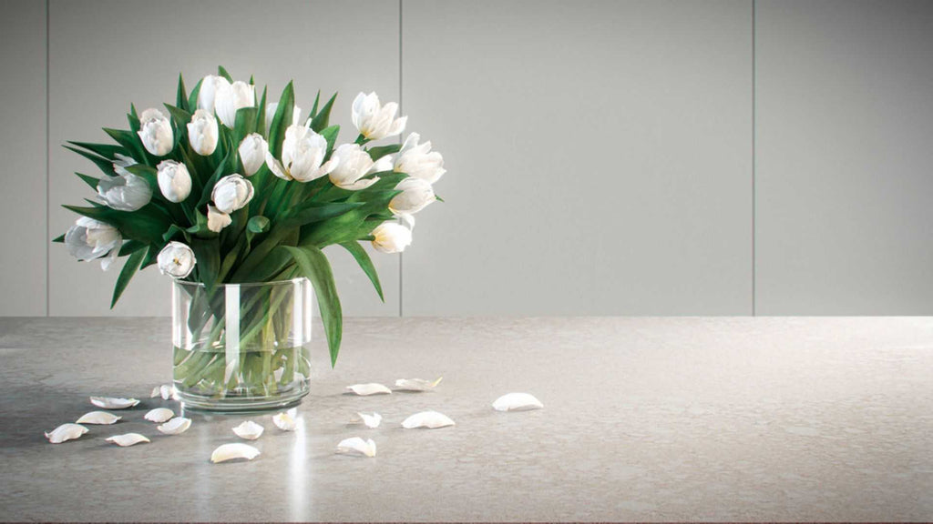 5222 Adamina Quartz Countertop