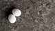 6003 Coastal Grey Quartz Countertop