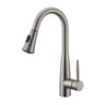 Kodaen Brushed Nickel Pull Down Kitchen Faucet