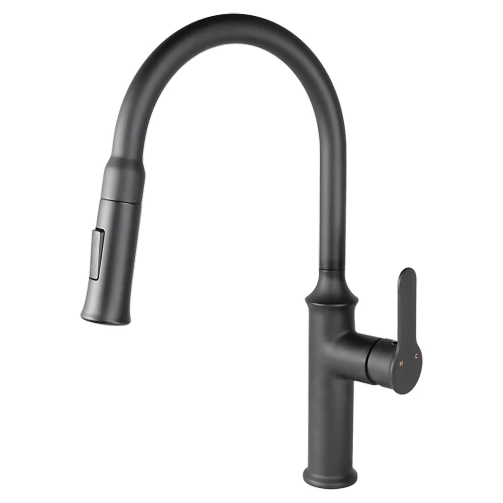 Kodaen Kitchen Faucet Matt Black