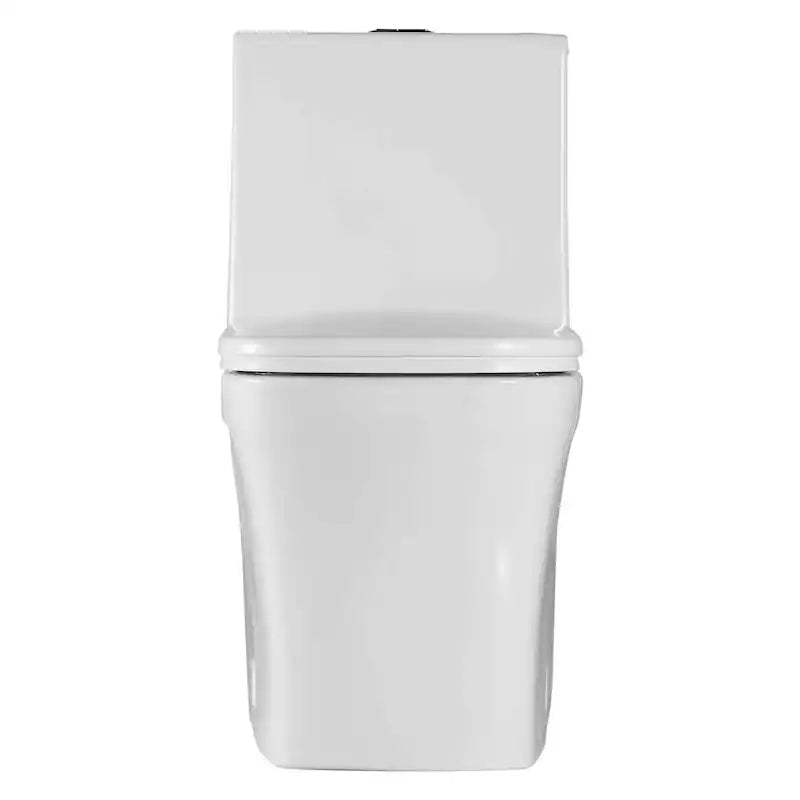 Fine Fixtures Dual-Flush Elongated One-Piece Toilet with High Efficiency Flush - White