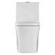 Fine Fixtures Dual-Flush Elongated One-Piece Toilet with High Efficiency Flush - White