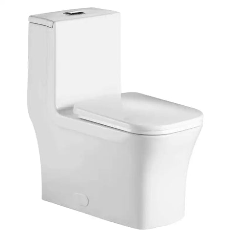 Fine Fixtures Dual-Flush Elongated One-Piece Toilet with High Efficiency Flush - White