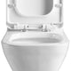 Fine Fixtures Dual-Flush Elongated One-Piece Toilet with High Efficiency Flush - White