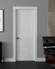 Shaker 2-Panel 32-inch x 80-inch x 1-3/8-inch Hollow Core Interior Door