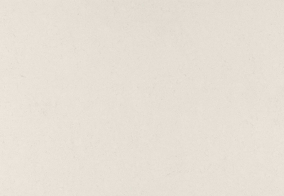 1001 Riverlet Quartz Countertop