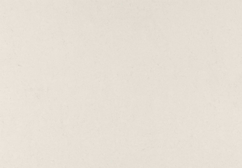 1001 Riverlet Quartz Countertop