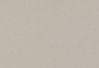 1004 Stoneburst Quartz Countertop