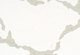 5114 Calacatta Quartz Countertop