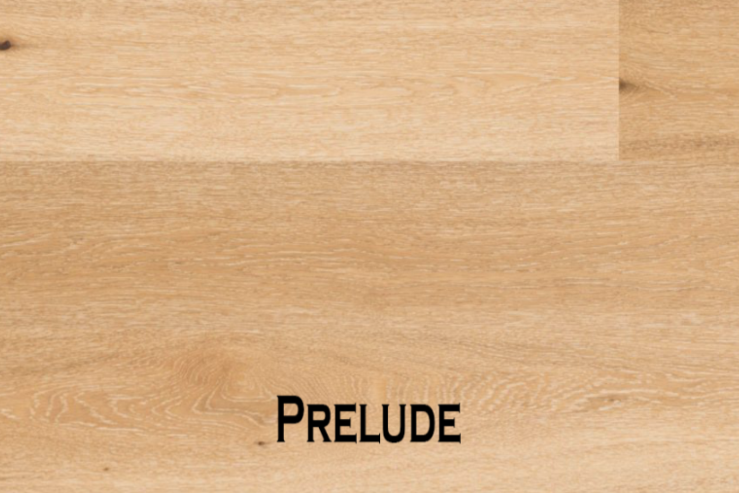 Fuzion – Classical Elegance Collection 7.5″ x 9/16"