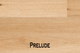 Fuzion – Classical Elegance Collection 7.5″ x 9/16"