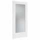 Frosted Glass 1-Panel Door