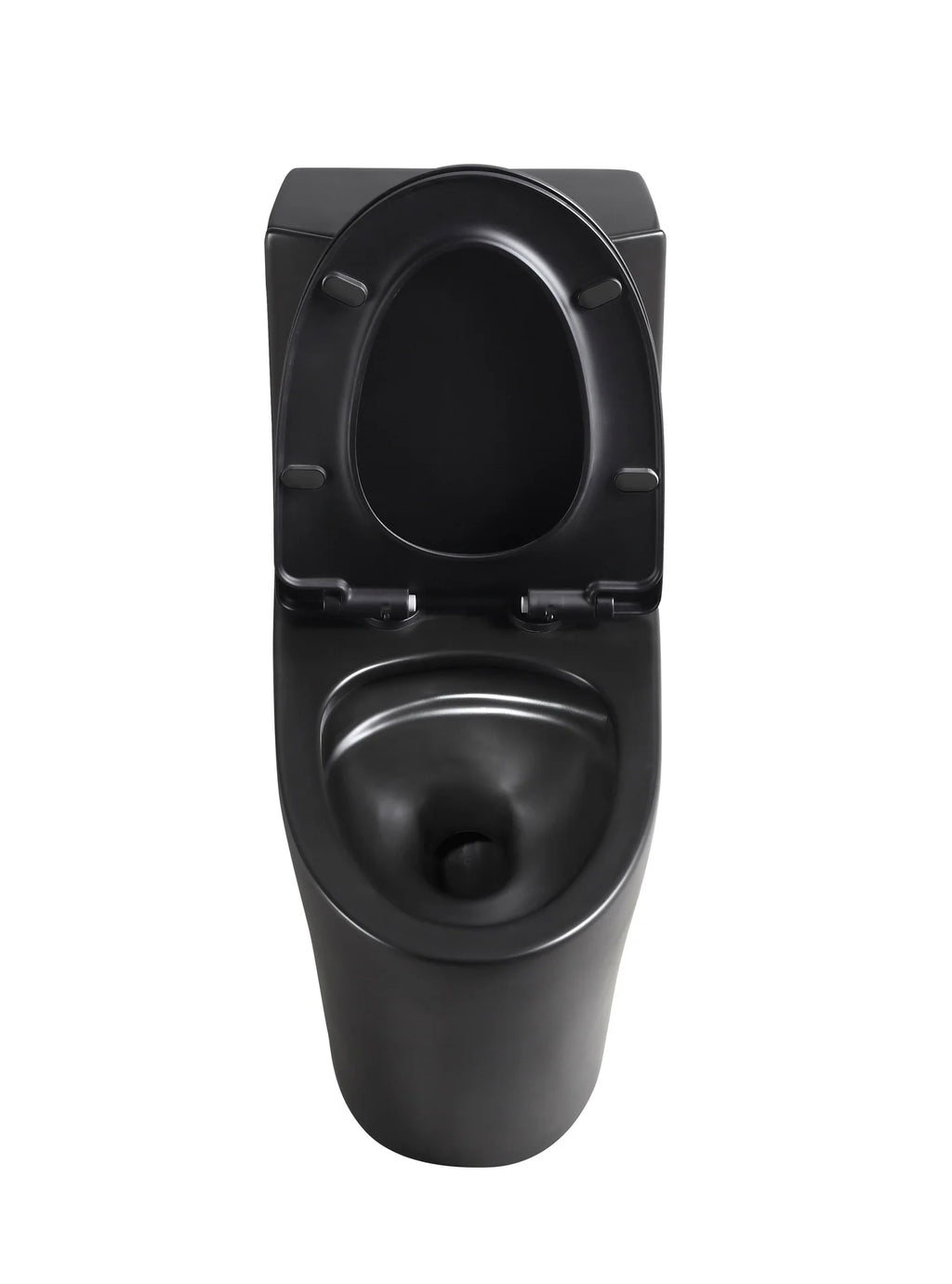 Tyrone Double Flush 1-Piece Toilet