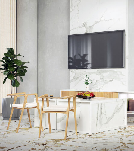 home care supply contemporary living room with sleek marble walls