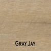Gray Jay
