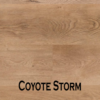 Coyote Storm