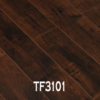 TF3101