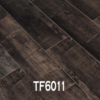 TF6011