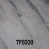 TF6008