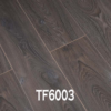 TF6003