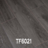 TF6021
