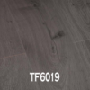 TF6019