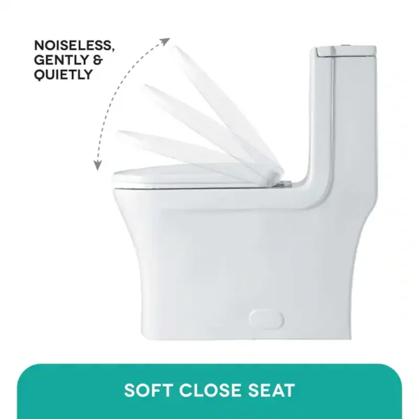 Fine Fixtures Dual Flush Elongated One Piece Toilet with High Efficiency Flush (1)