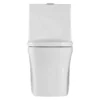 Fine Fixtures Dual Flush Elongated One Piece Toilet with High Efficiency Flush (3)