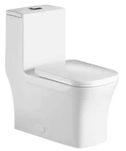 Fine Fixtures Dual Flush Elongated One Piece Toilet with High Efficiency Flush (4)